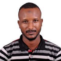 wadalsafi33776@gmail.com